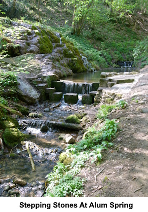 The stepping stones at Alum Spring.