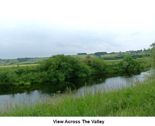 View across the Wharfe Valley at Netherby Deep