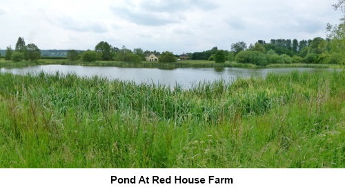 Pond at Red House farm