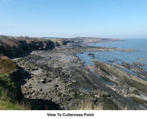 View to Cullernose Point