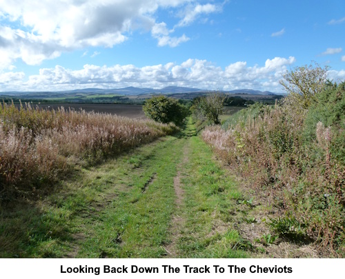 Looking back along the broad track to The Cheviots.