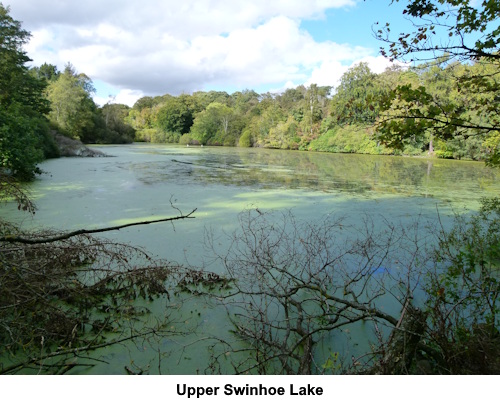 Upper Swinhoe Lake.