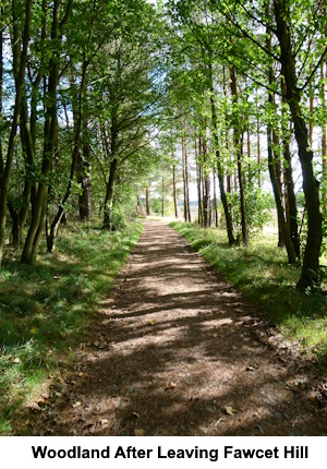 The woodland track through the trees after leaving Fawcet Hill.