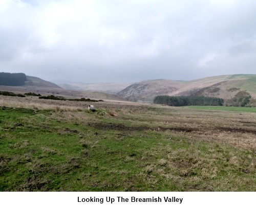 Looking up the Breamish Valley