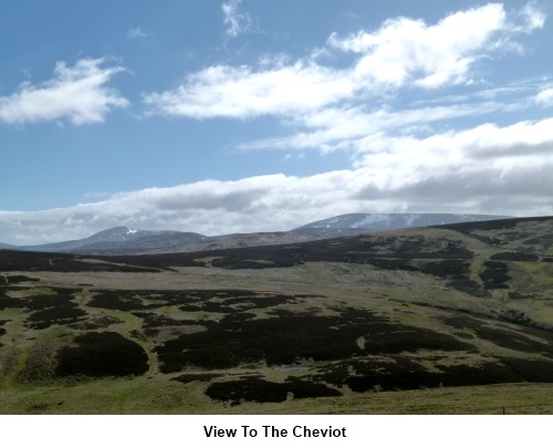 View to the Cheviot