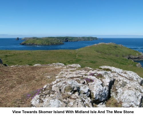 View towards Skomer Island, Midland Isle and the Mew Stone