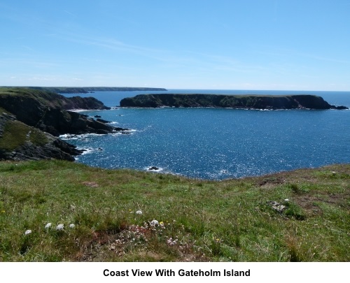 Coast view with Gateholm Island