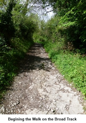 Track on Wenlock Edge walk