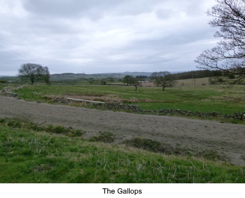 The gallops.
