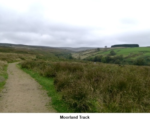 Moorlend track