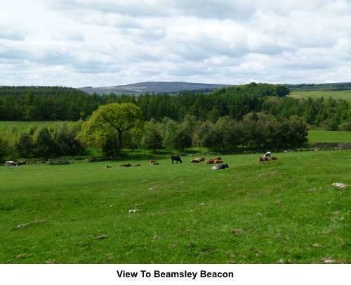 View to Beamsley Beacon