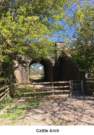 Cattle arch