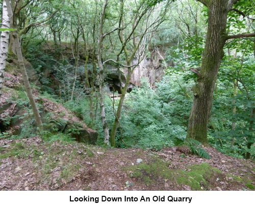 Looking down into an old quarry in Calverley Woods.