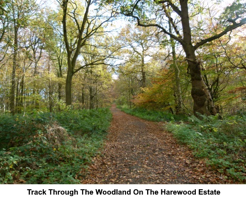 Track throught the woodland on the Harewood Estate.