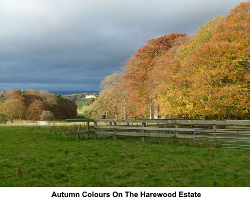 Autumn colours on the Harewood Estate.