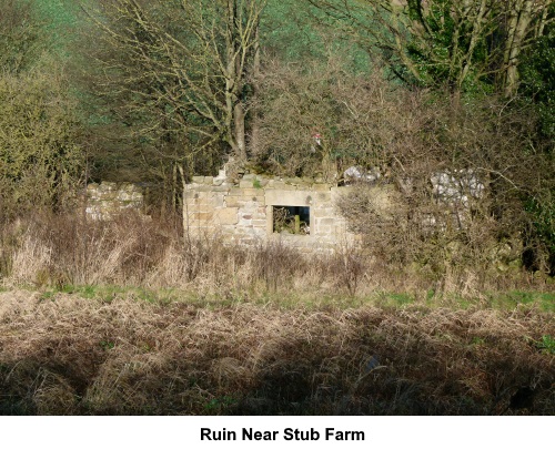A ruin near Stub Farm.