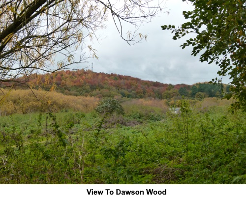 View to Dawson Wood.
