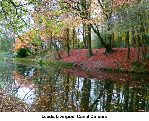 Autumn colours on the Leeds/Liverpool canal.