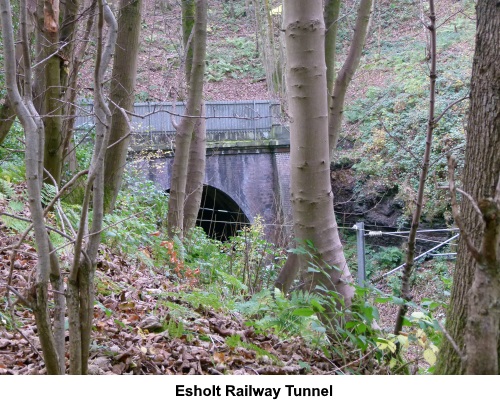 Esholt railway tunnel.