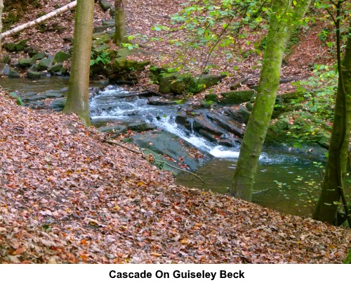 Cascade on Guiseley Beck.