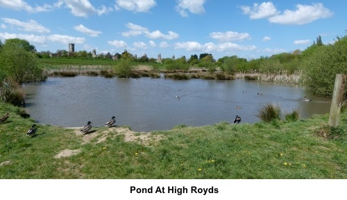 Pond at High Royds