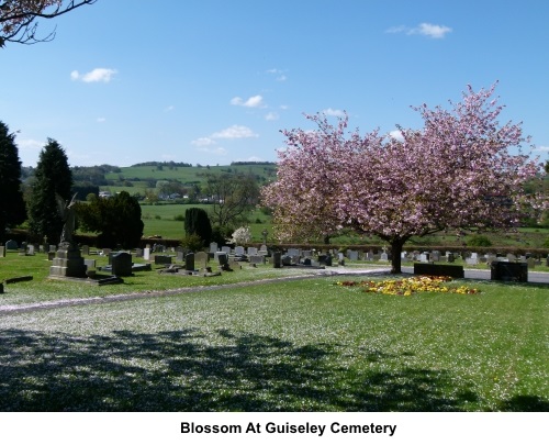 Blossom at Guiseley cemetery