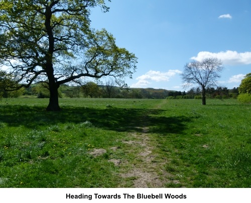 Heading towards the bluebell woods at High Royds