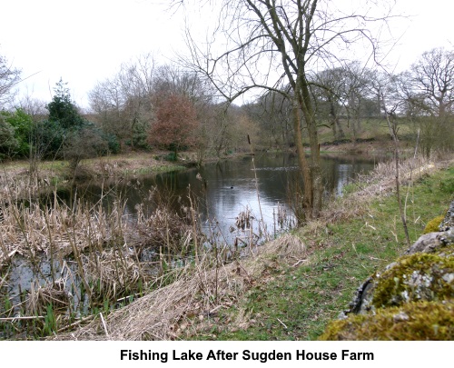 A fishing lake near Sugden House farm.