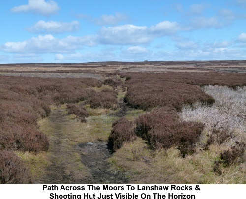 Path across the moors to Lanshaw Rocks. The shooting hut is just visible on the horizon