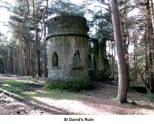 St David's Ruin