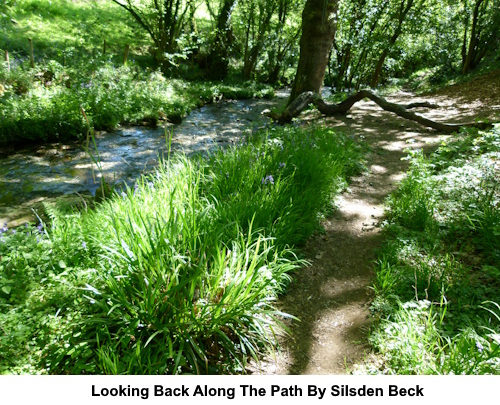 Looking back along the path by Silsden Beck.