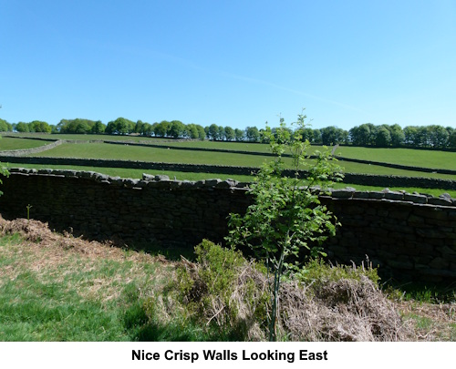 Crisp looking walls in green fields looking east.