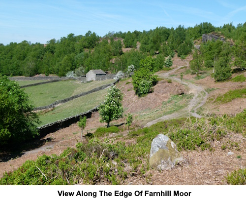 Looking along the edge of Farnhill Moor with hawthornr blosson in bloom.