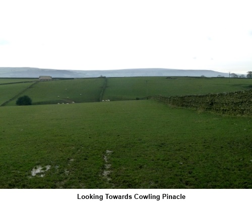 View to Cowling Pinnacle