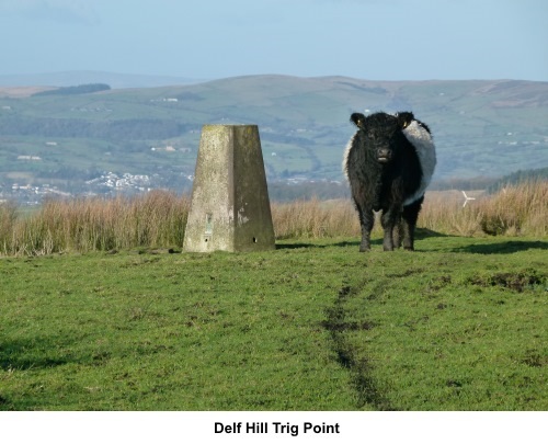 Delf Hill trig. point