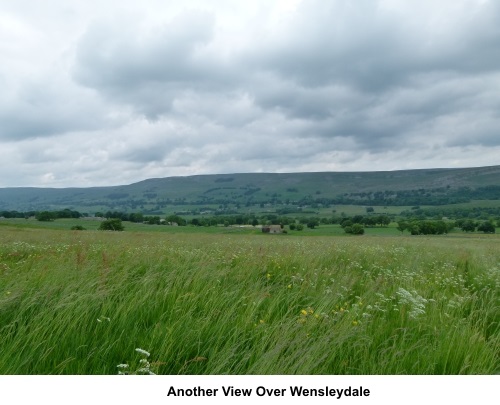 Another view over Wensleydale