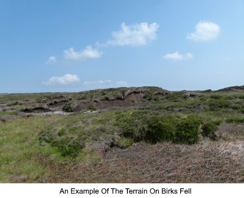 An example of the terrain on Birks Fell