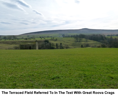 Unusually terraced field referred to in the text with Great Roova Crags.