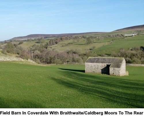 Field barn in Coverdale with Braithwaite and Caldberg moors to the rear.
