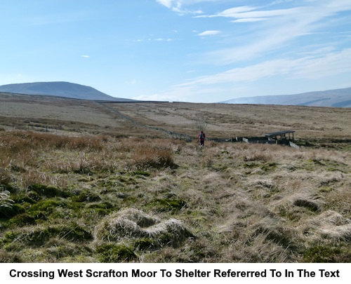 Crossing West Scrafton Moor to the shelter referred to in the text.