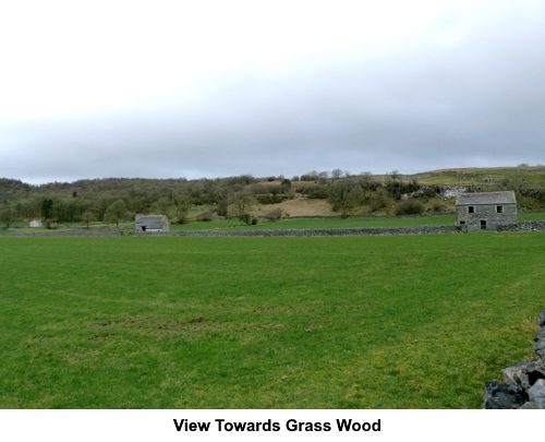 View towards Grass Wood.