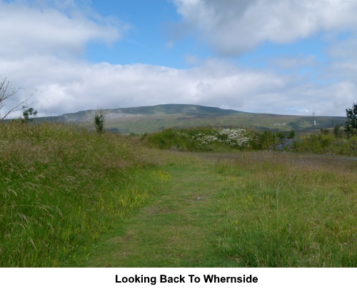 Looking back to Whernside