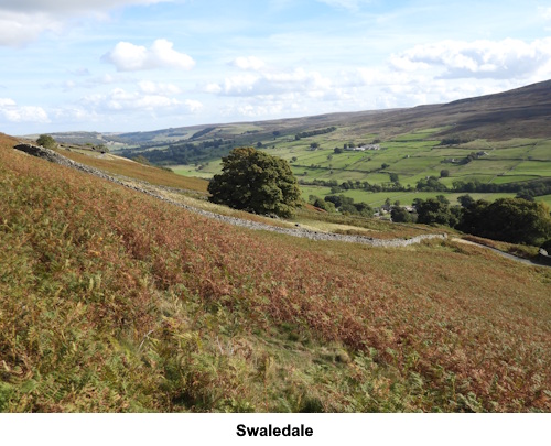 Just a view of Swaledale.