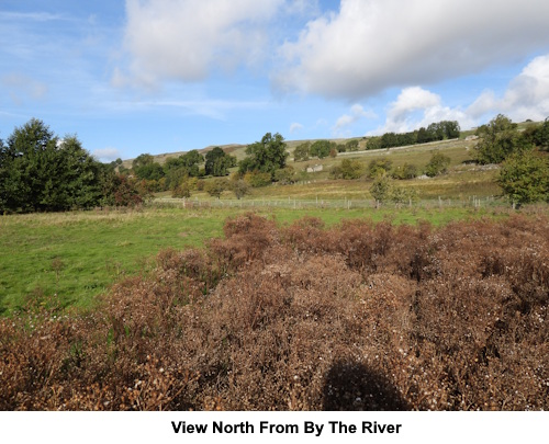 A view north from by the River Swale.