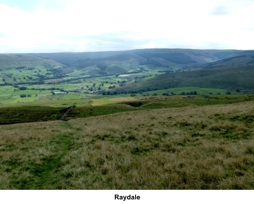 Raydale