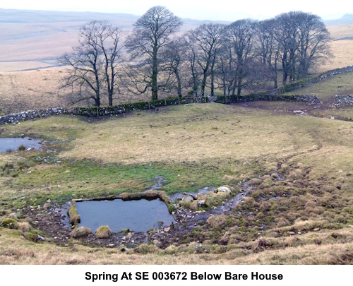 Spring and pond below Bare House.