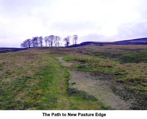 Along the path to New Pasture Edge.