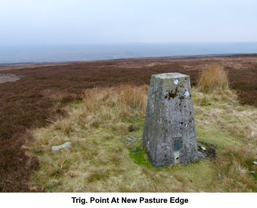 The trig. point at New Pasture Edge.